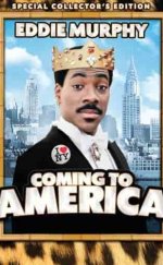 Amerikan Rüyası izle (1988)