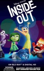 Ters Yüz izle (2015)