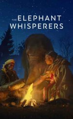 The Elephant Whisperers izle (2022)